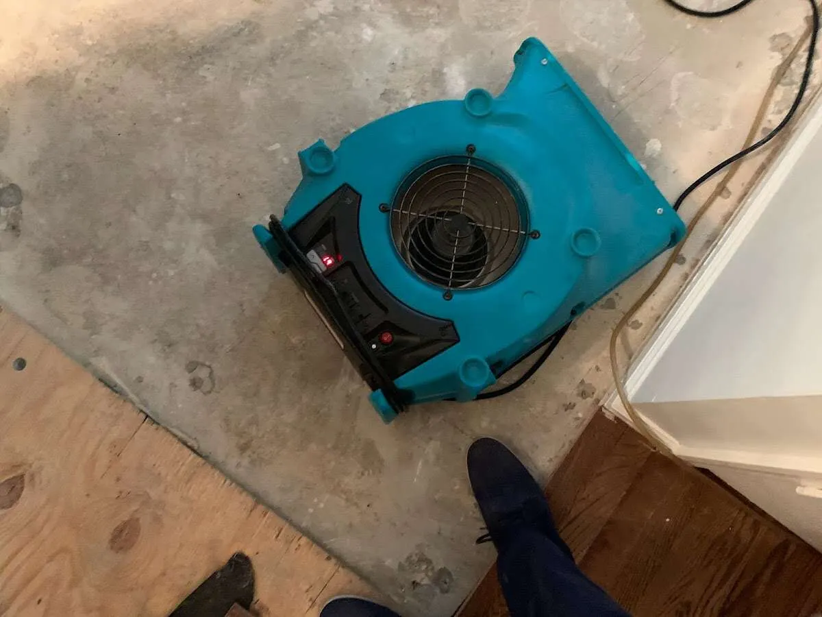 Air mover drying subfloor during Commercial Water Damage Restoration in Lower